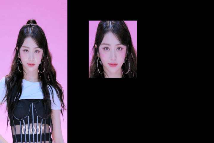 Capturing Faces From Video GIF